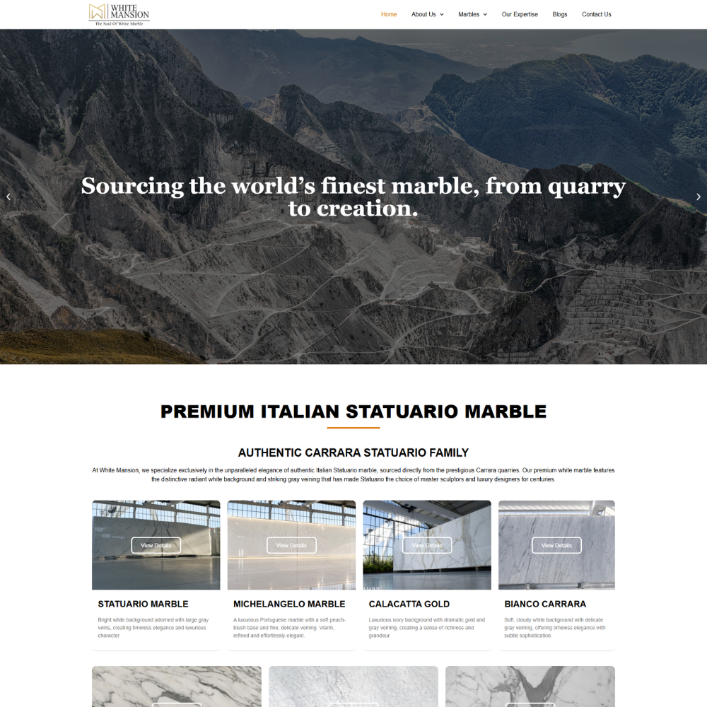 Business website